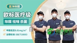 家庭欧标医疗级甲醛治理 家庭欧标医疗级甲醛治理